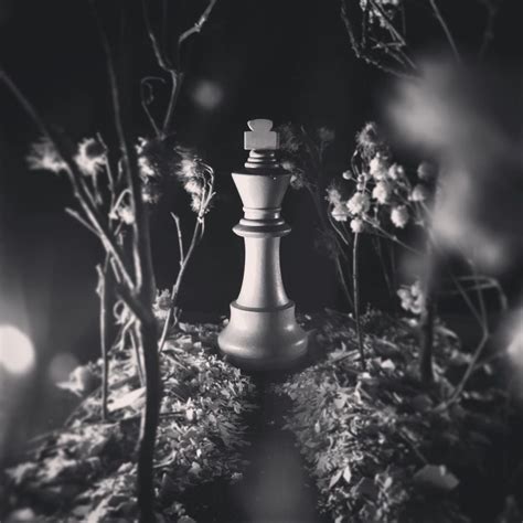 StrangerChess (@strangerchess) • Instagram photos and videos.